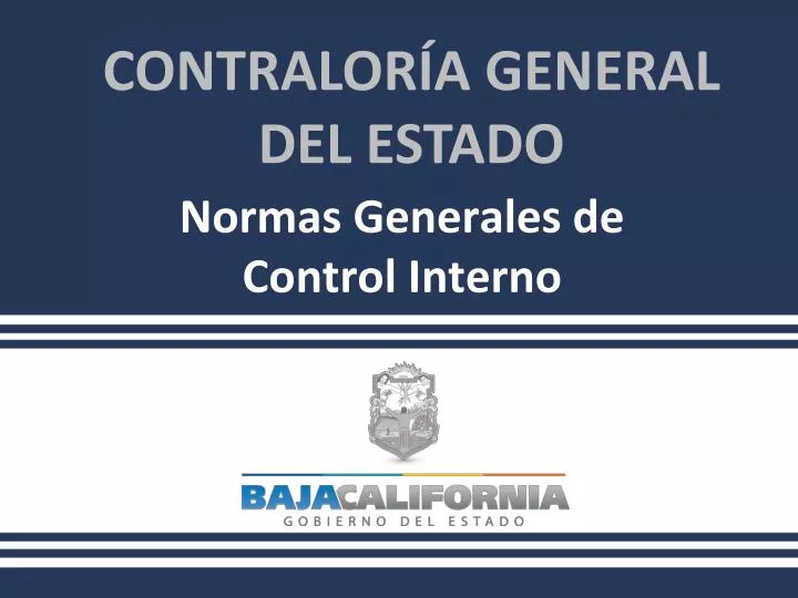 normas generales de control interno