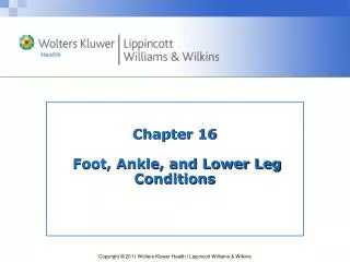 Chapter 16 Foot, Ankle, and Lower Leg Conditions