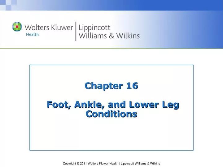 chapter 16 foot ankle and lower leg conditions