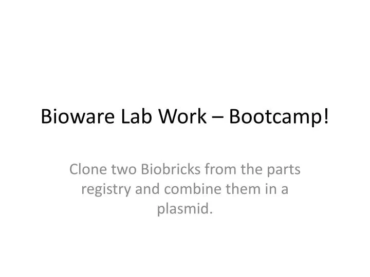 bioware lab work bootcamp