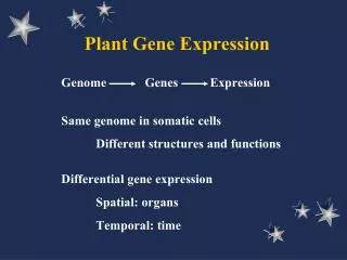 Plant Gene Expression