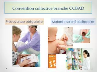 convention collective branche ccbad