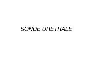 sonde uretrale
