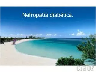 nefropat a diab tica