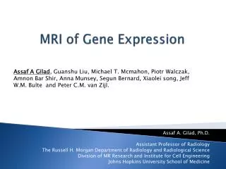 MRI of Gene Expression