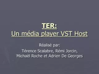 ter un m dia player vst host