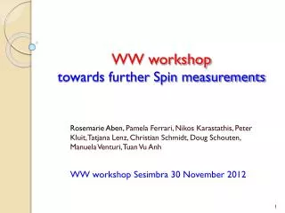 WW workshop towards further Spin measurements