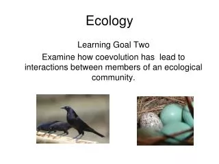 Ecology