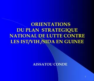 orientations du plan strategique national de lutte contre les ist vih sida en guinee