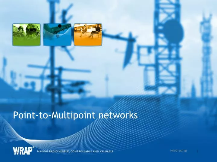 point to multipoint networks