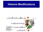 Histone Modifications - slide 1