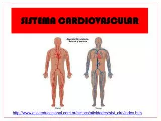 sistema cardiovascular