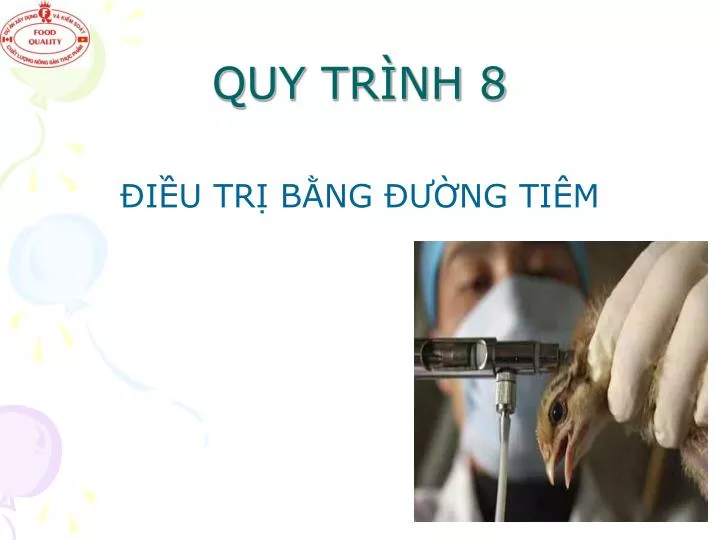quy tr nh 8