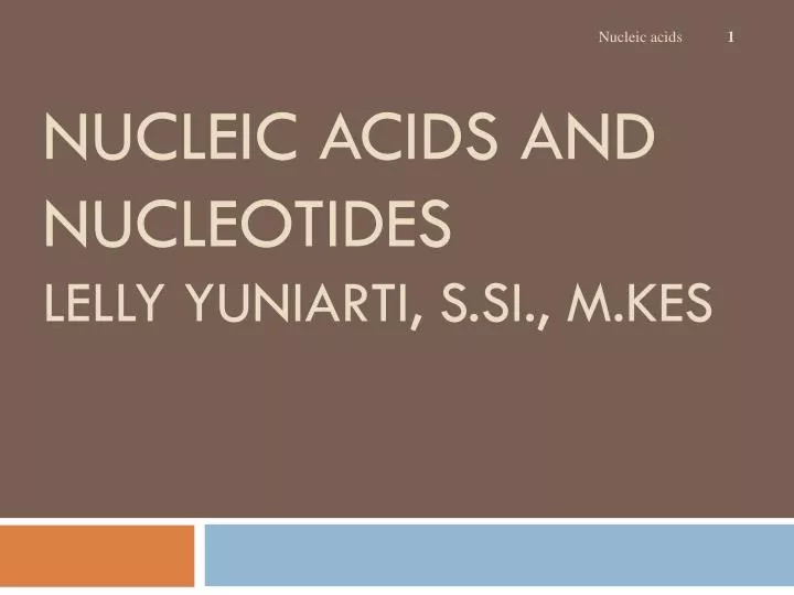 nucleic acids and nucleotides lelly yuniarti s si m kes