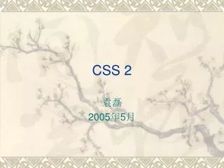 css 2