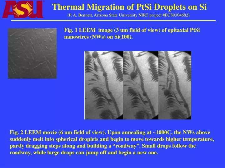 thermal migration of ptsi droplets on si