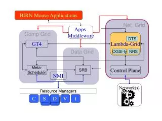BIRN Mouse Applications
