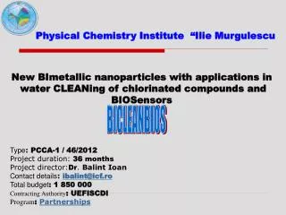New BImetallic nanoparticles with applications in