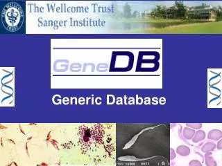Generic Database