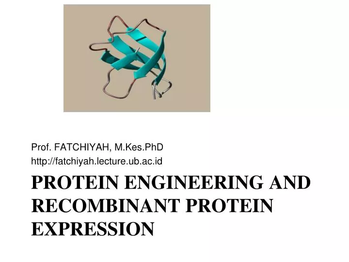 protein engineering and recombinant protein expression
