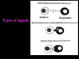 Types of signals