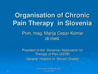 Organisation of Chronic Pain Therapy in Slovenia