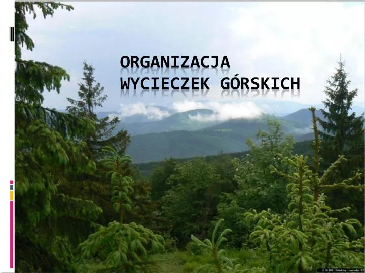 organizacja wycieczek g rskich