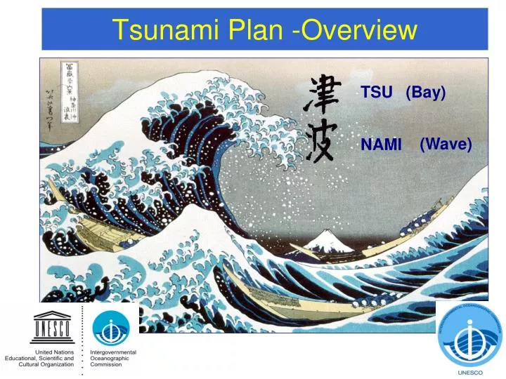 tsunami plan overview