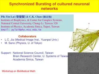 Synchronized Bursting of cultured neuronal networks