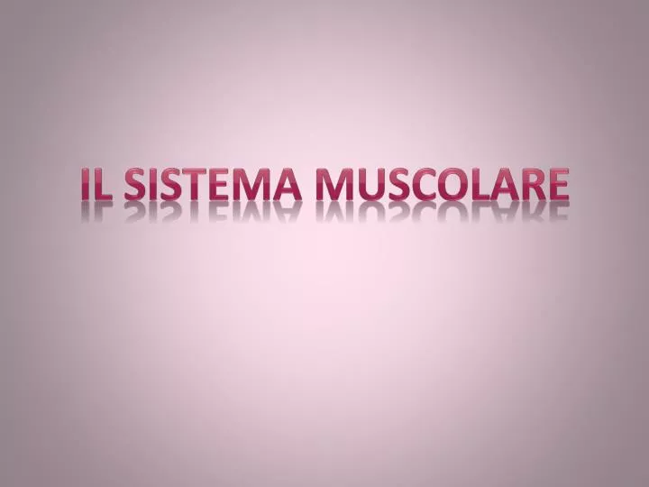 il sistema muscolare