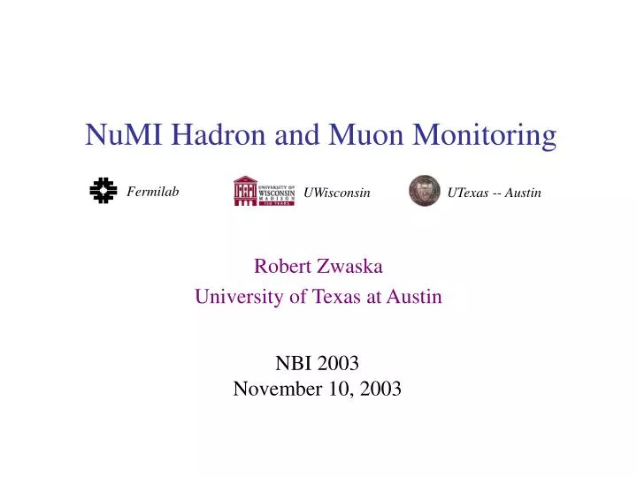 numi hadron and muon monitoring