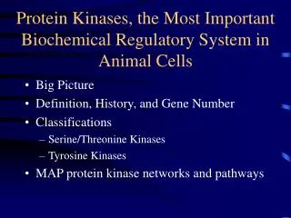 Protein Kinases, the Most Important Biochemical Regulatory System in Animal Cells