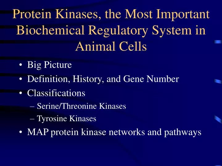 protein kinases the most important biochemical regulatory system in animal cells