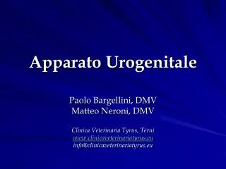 apparato urogenitale