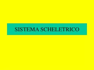 sistema scheletrico