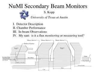 NuMI Secondary Beam Monitors