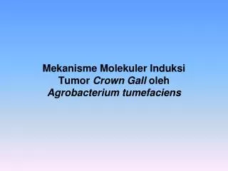 mekanisme molekuler induksi tumor crown gall oleh agrobacterium tumefaciens
