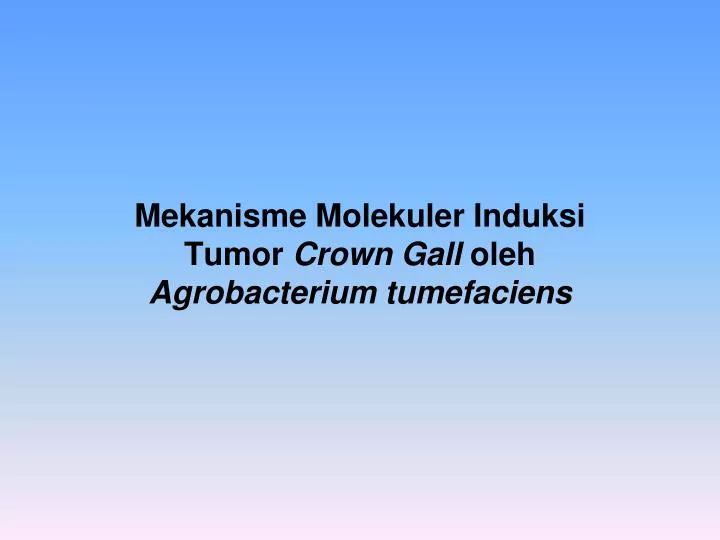 mekanisme molekuler induksi tumor crown gall oleh agrobacterium tumefaciens