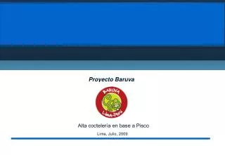 proyecto baruva