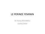 LE PERINEE FEMININ - slide 1
