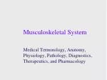 Musculoskeletal System - slide 1