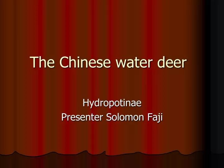 the chinese water deer