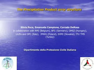 The Precipitation Product error structure
