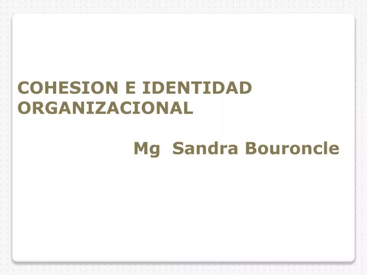 cohesion e identidad organizacional mg sandra bouroncle