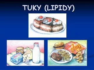 tuky lipidy