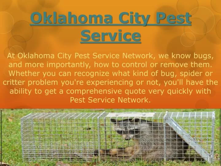 oklahoma city pest service