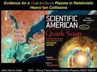 Evidence for a Q u a r k - G l u o n Plasma in Relativistic Heavy Ion Collisions