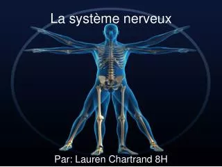 la syst me nerveux