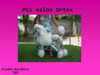 ps sal n ortex