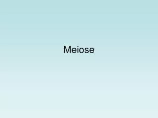 meiose